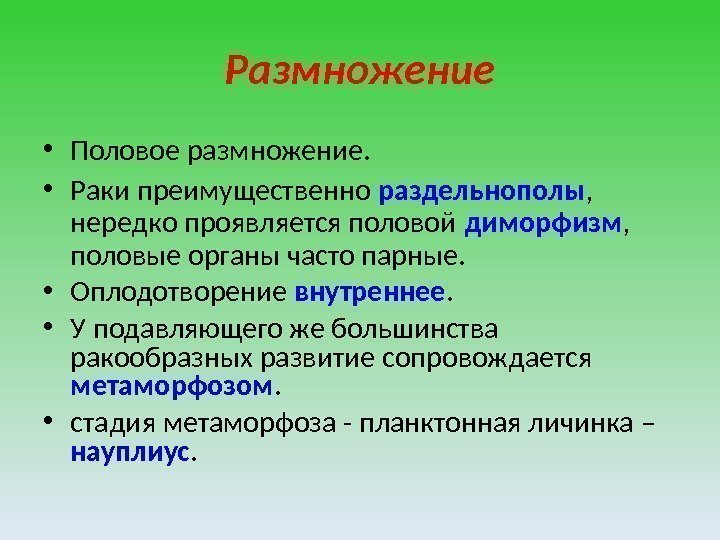 Размножение • Половое размножение.  • Раки преимущественно раздельнополы ,  нередко проявляется половой