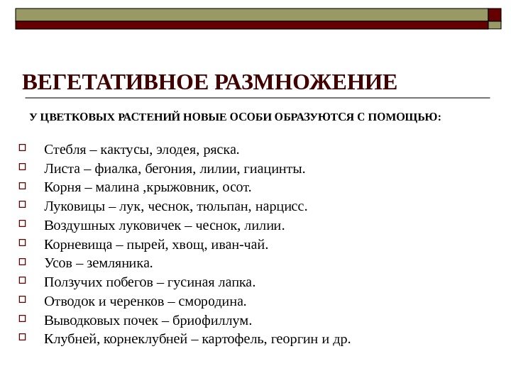 ВЕГЕТАТИВНОЕ РАЗМНОЖЕНИЕ У ЦВЕТКОВЫХ РАСТЕНИЙ НОВЫЕ ОСОБИ ОБРАЗУЮТСЯ С ПОМОЩЬЮ:  Стебля – кактусы,