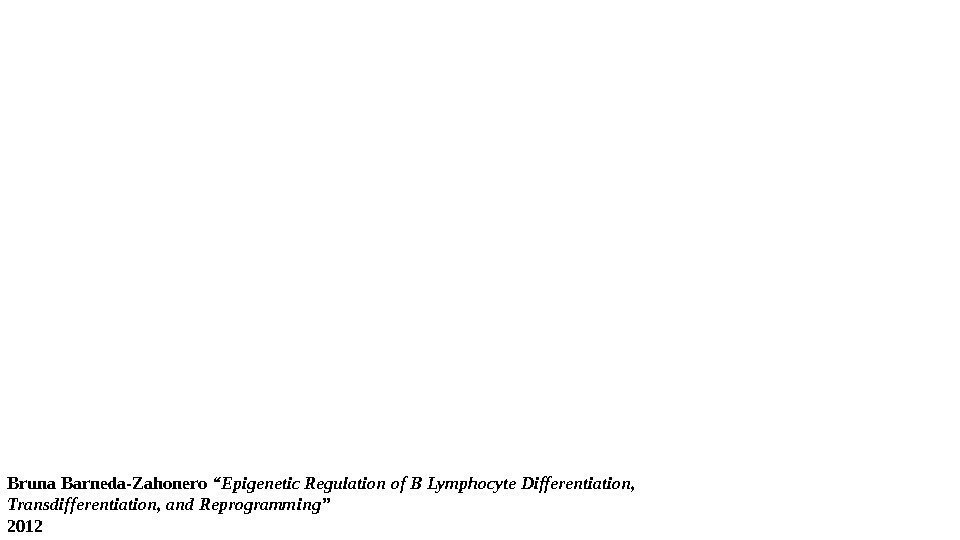 В-лімфоцити Bruna Barneda-Zahonero “Epigenetic Regulation of B Lymphocyte Differentiation,  Transdifferentiation, and Reprogramming” 2012