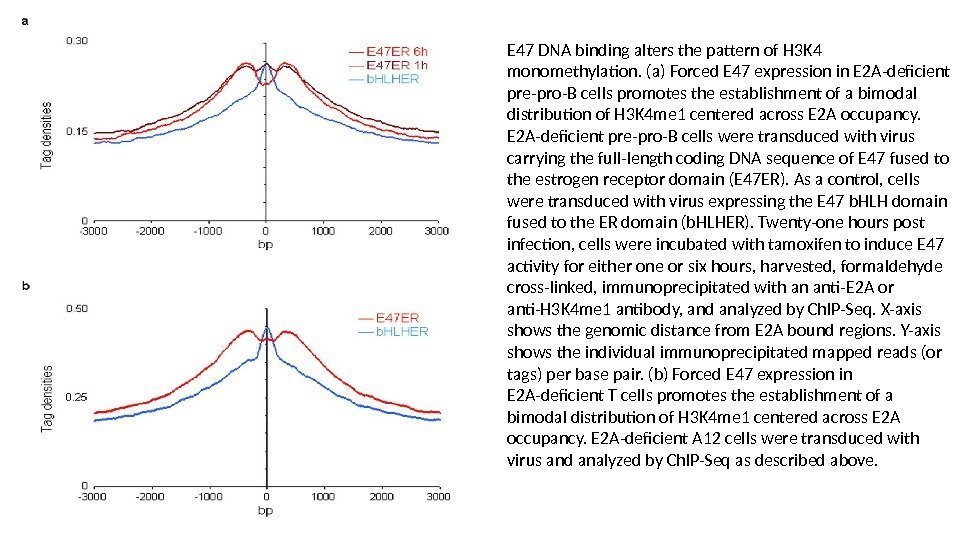E 47 DNA binding alters the pattern of H 3 K 4 monomethylation. (a)