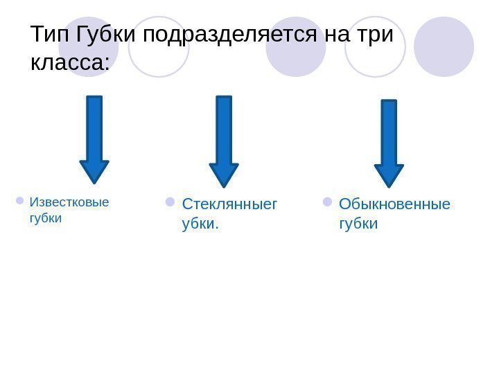 Тип Губки подразделяется на три класса:  Известковые губки Обыкновенные губки Стеклянныег убки. 