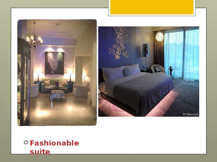 Fashionable suite     