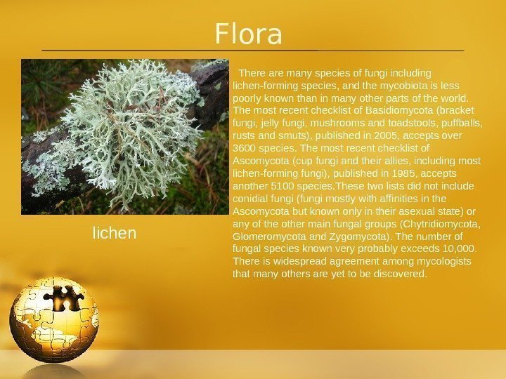 Flora  There are many species of fungi including lichen-forming species, and the mycobiota