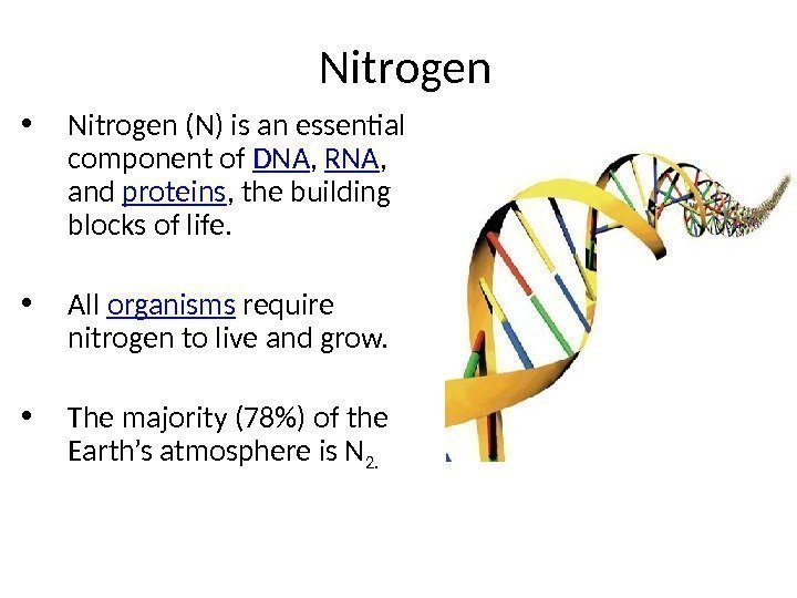  • Nitrogen (N) is an essential component of DNA ,  RNA ,