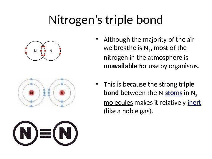Nitrogen’s triple bond • Although the majority of the air we breathe is N