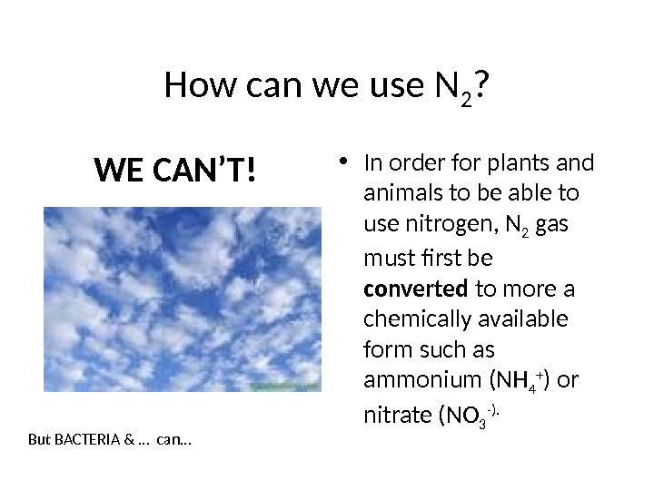 How can we use N 2 ?  • In order for plants and