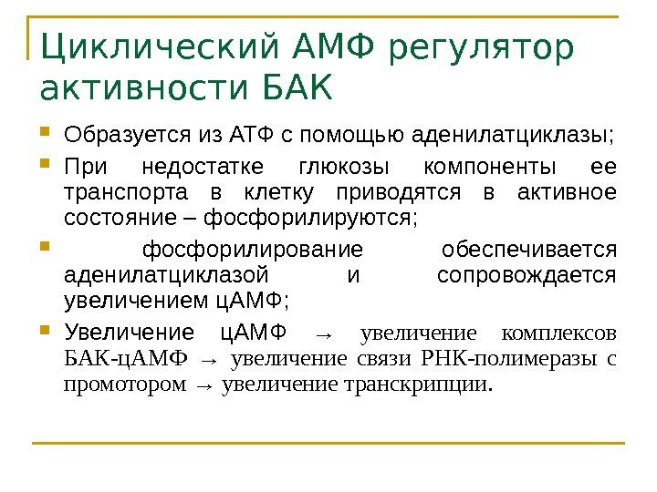   Циклический АМФ регулятор активности БАК Образуется из АТФ с помощью аденилатциклазы; 