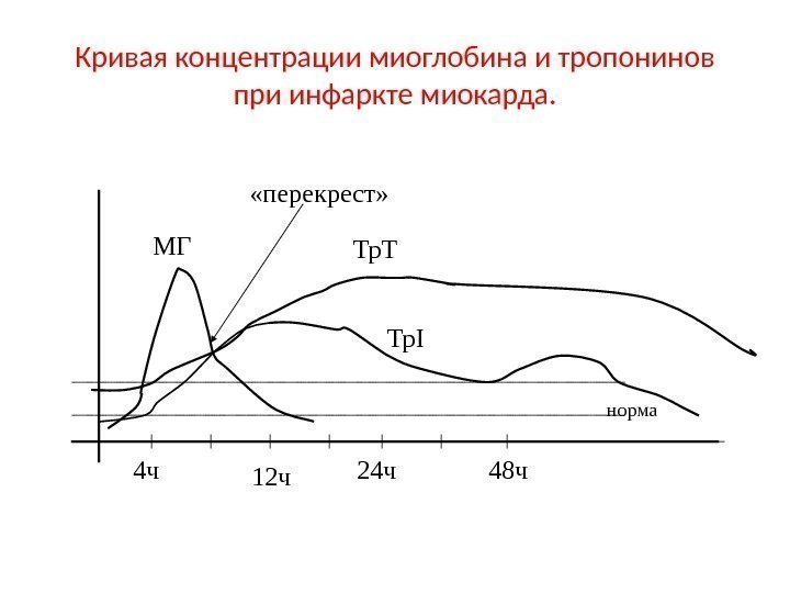 Кривая концентрации миоглобина и тропонинов при инфаркте миокарда. норма 4 ч 6 ч 12
