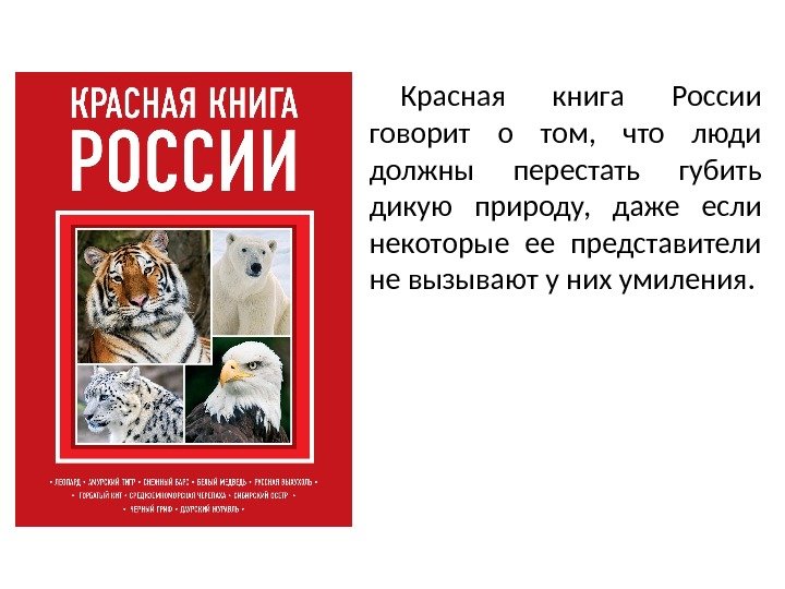 Говорит о том что должны быть определены какие либо временные рамки для реализации проекта