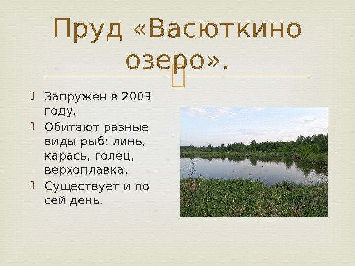 Пруд «Васюткино озеро» .  Запружен в 2003 году.  Обитают разные виды рыб: