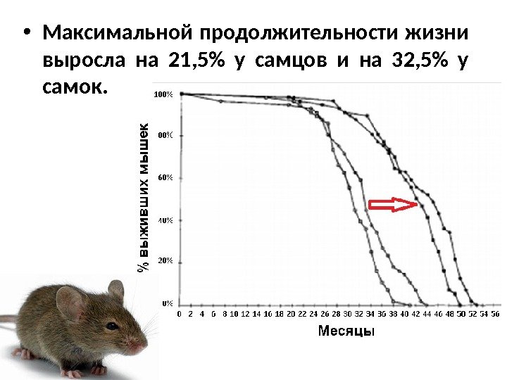  • Максимальной продолжительности жизни выросла на 21, 5 у самцов и на 32,
