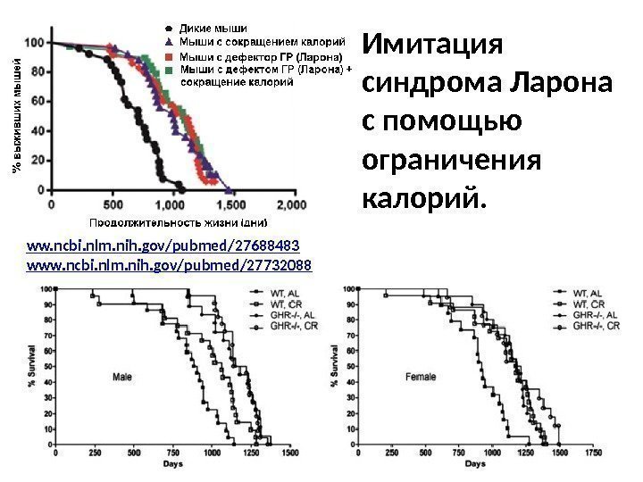 Имитация синдрома Ларона с помощью ограничения калорий.  ww. ncbi. nlm. nih. gov/pubmed/27688483 www.