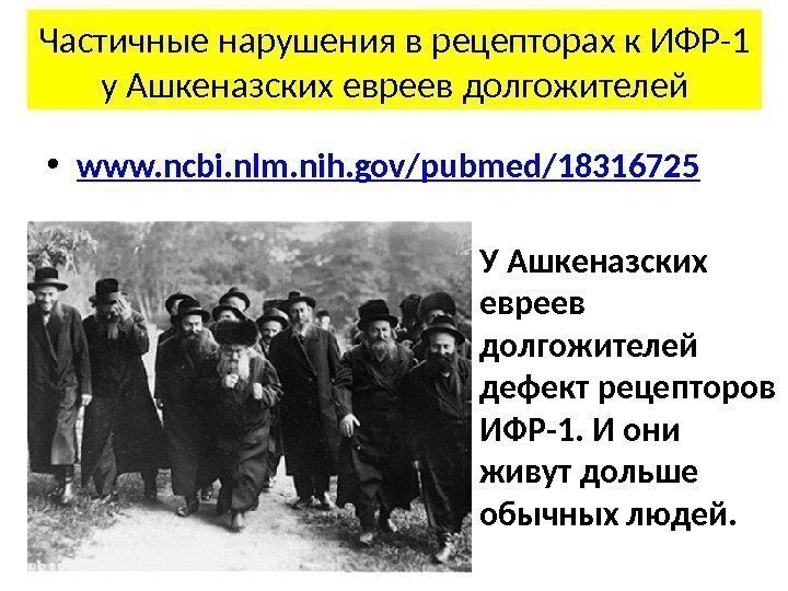  • www. ncbi. nlm. nih. gov/pubmed/18316725 Частичные нарушения в рецепторах к ИФР-1 у