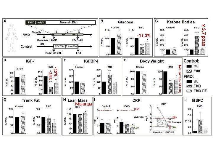 -11, 3х 3, 7 раза -24 -15 Без потери мышц Мышцы 