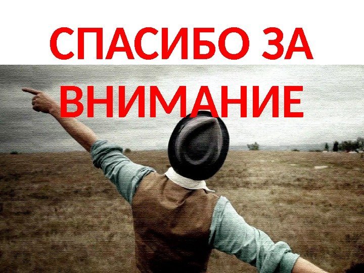 СПАСИБО ЗА ВНИМАНИЕ 