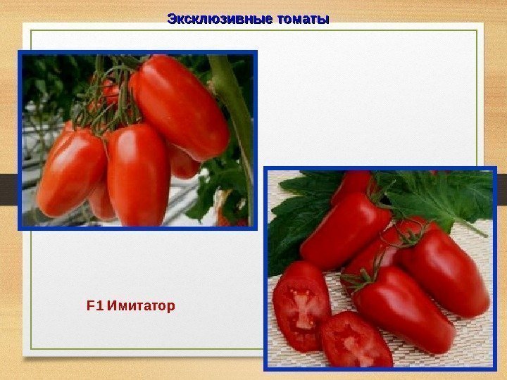 Эксклюзивные томаты F 1 Имитатор  