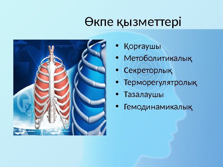     Өкпе қызметтері • Қорғаушы • Метоболитикалық • Секреторлық • Терморегулятролық