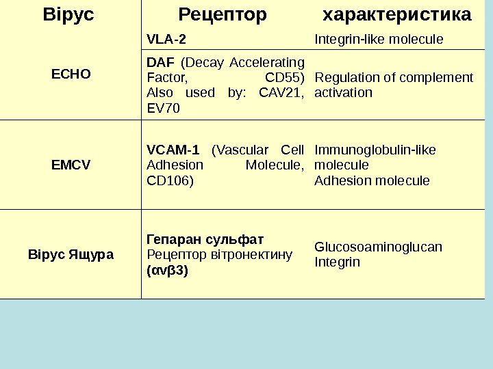   Вірус Рецептор характеристика ЕСНО VLA-2 Integrin-like molecule DAF  (Decay Accelerating Factor,