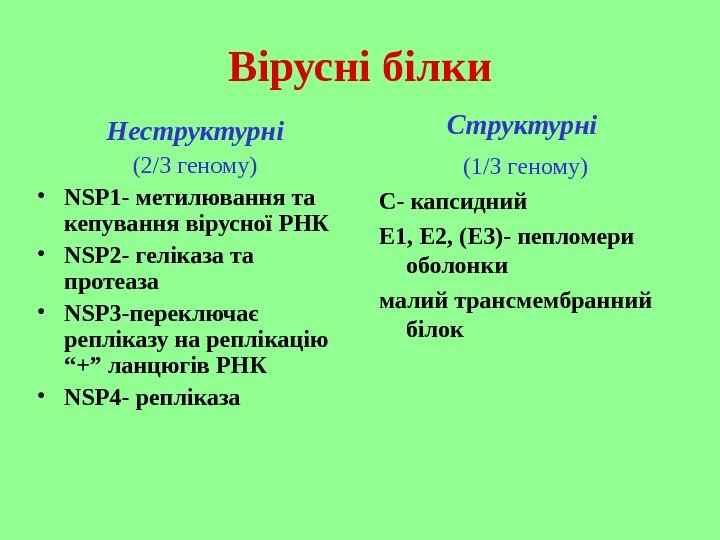   Вірусні білки Неструктурні (2/3 геному) • NSP 1 - метилювання та кепування