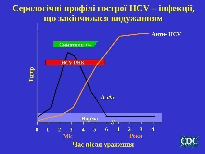 Серологічні профілі гострої HCV – інфекції,  що закінчилася видужанням Симптоми +/- Час після
