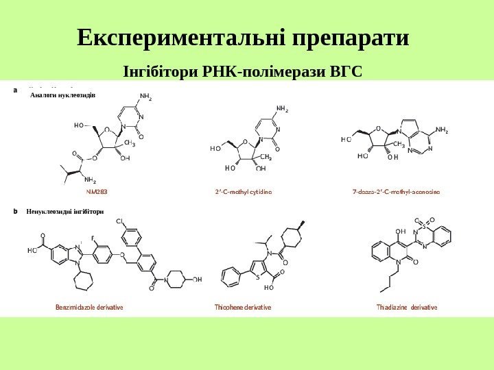   Інгібітори РНК-полімерази ВГС Аналоги нуклеозидів Ненуклеозидні інгібітори Експериментальні препарати 