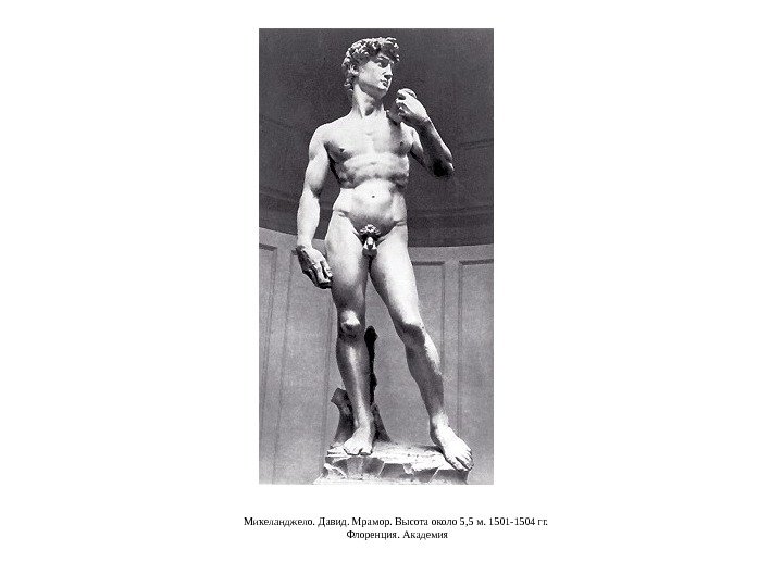 Микеланджело. Давид. Мрамор. Высота около 5, 5 м. 1501 -1504 гг.  Флоренция. Академия