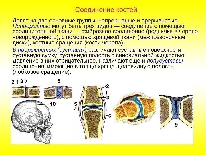 Делят на две основные группы: непрерывные и прерывистые.  Непрерывные могут быть трех видов