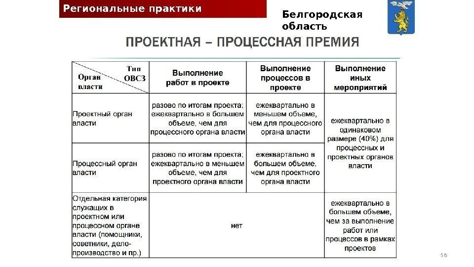 Региональные практики проектного управления Белгородская область 58 