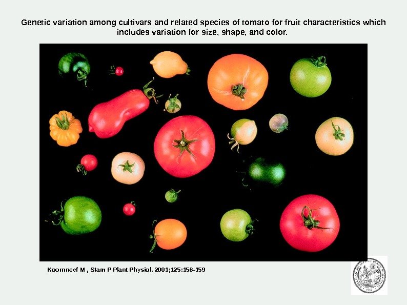 Genetic variation among cultivars and related species of tomato for fruit characteristics which includes