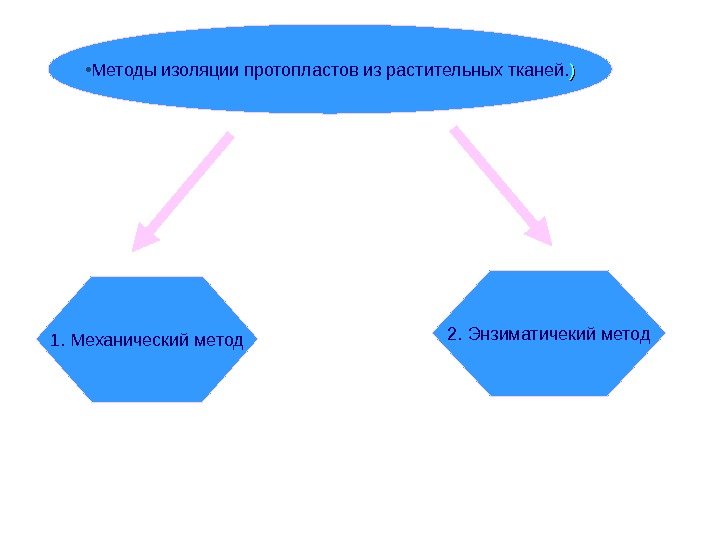  • Методы изоляции протопластов из растительных тканей. )) 1.  Механический метод 2.