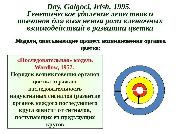 Day, Galgoci, Irish, 1995.  Генетическое удаление лепестков и тычинок для выяснения роли клеточных