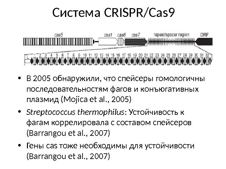 Система CRISPR/Cas 9 • В 2005 обнаружили, что спейсеры гомологичны последовательностям фагов и конъюгативных