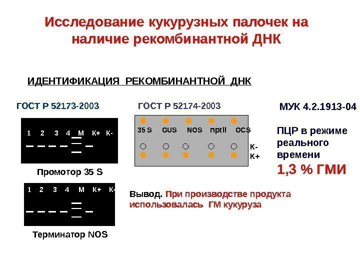 Исследование кукурузных палочек на наличие рекомбинантной ДНК ГОСТ Р 52173 -2003 ГОСТ Р 52174