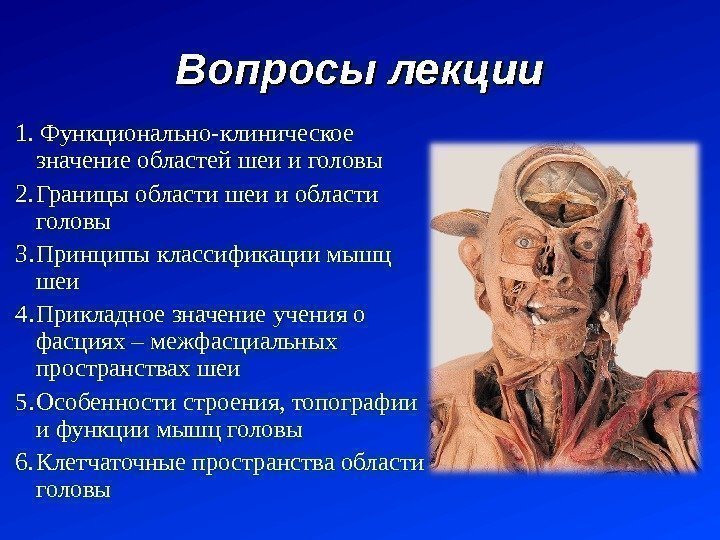 Вопросы лекции 1. Функционально-клиническое значение областей шеи и головы 2. Границы области шеи и