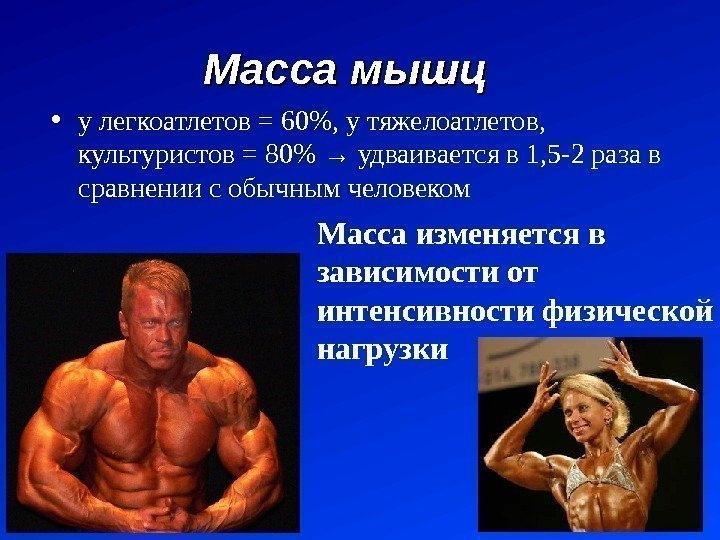 Масса мышц • у легкоатлетов = 60, у тяжелоатлетов,  культуристов = 80 →