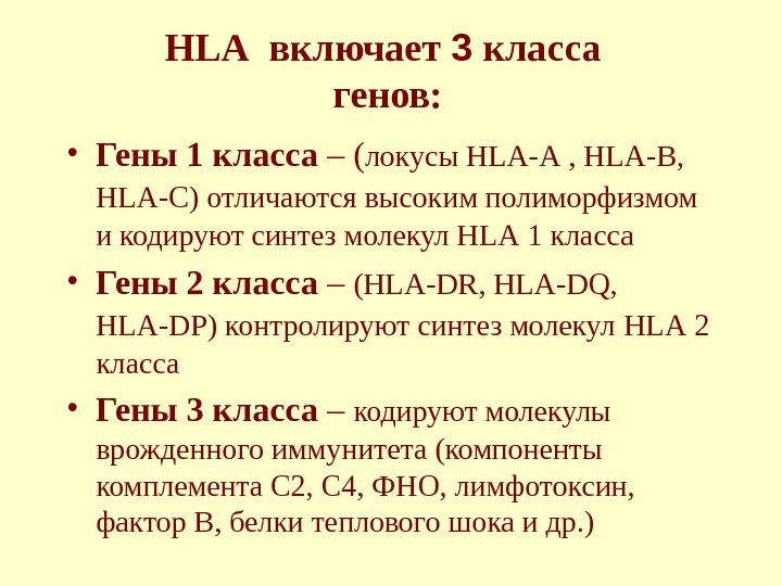 HLA  включает 3 класса генов:  • Гены 1 класса – ( локусы