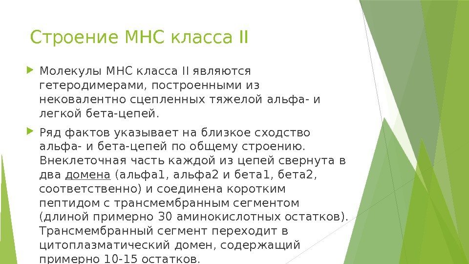 Строение MHC класса II Молекулы MHC класса II являются гетеродимерами, построенными из нековалентно сцепленных