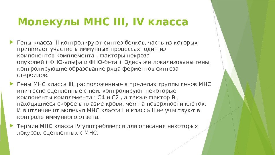 Молекулы MHC III, IV класса Геныкласса IIIконтролируют синтез белков, часть из которых принимает участие