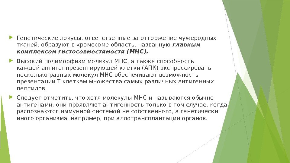  Генетические локусы, ответственные за отторжение чужеродных тканей, образуют в хромосоме область, названную главным