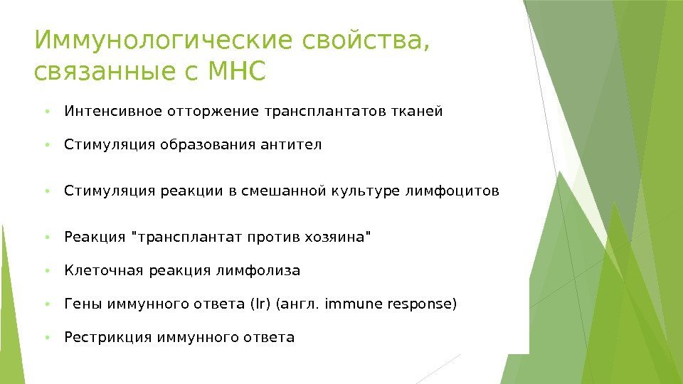 Иммунологические свойства,  связанные с MHC • Интенсивное отторжениетрансплантатовтканей • Стимуляция образованияантител • Стимуляция