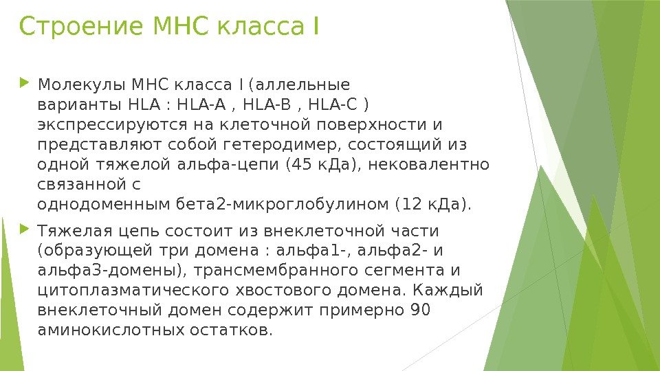 Строение MHC класса I Молекулы MHC класса I (аллельные варианты. HLA: HLA-A, HLA-B, HLA-С)