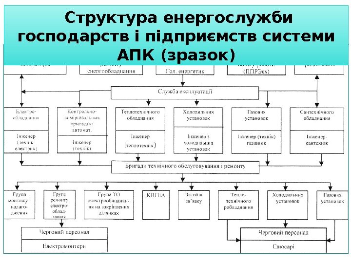  Структура енергослужби господарств і підприємств системи АПК (зразок)  