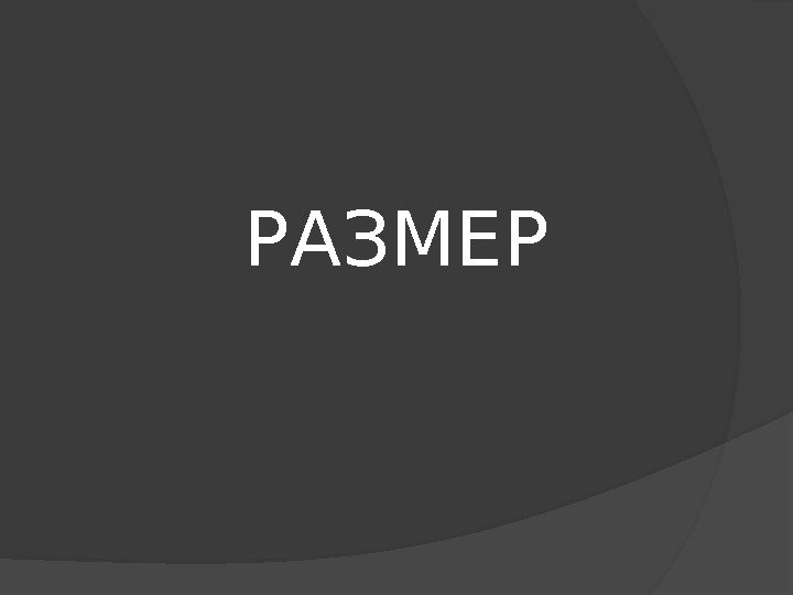 РАЗМЕР 