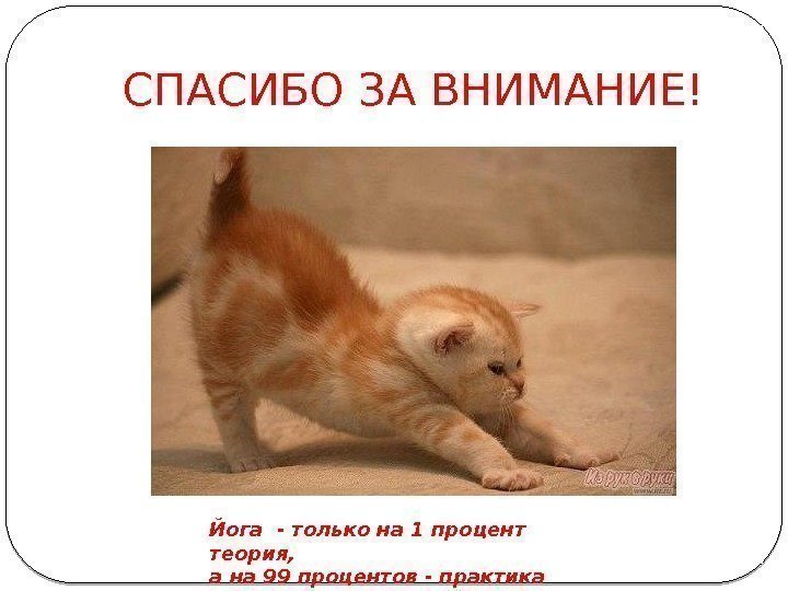 Спасибо за внимание индия картинки