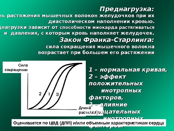 Преднагрузка:  степень растяжения мышечных волокон желудочков при их диастолическом наполнении кровью. . 