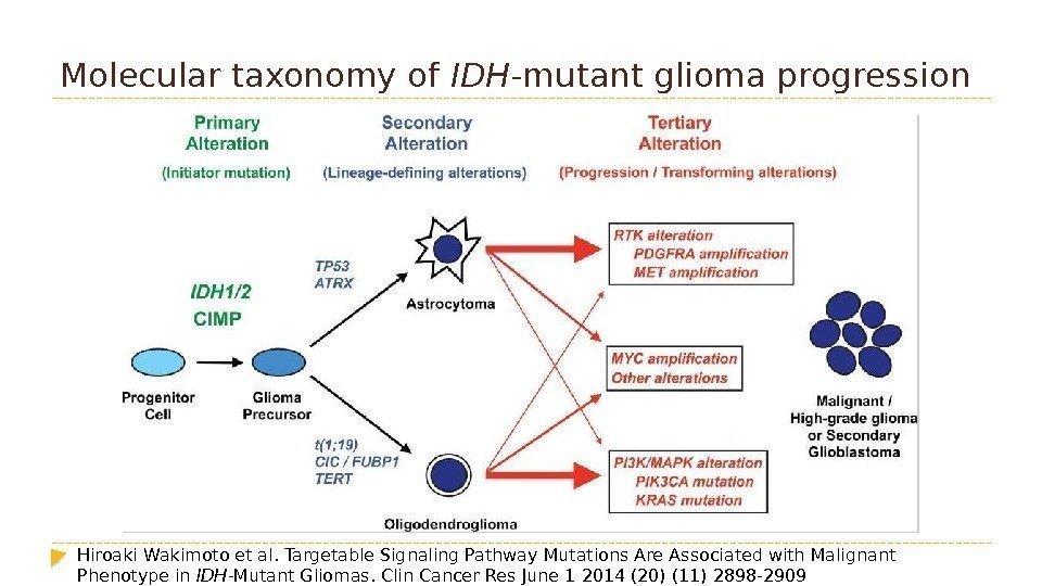 Molecular taxonomy of IDH -mutant glioma progression Hiroaki. Wakimoto et al. Targetable Signaling Pathway