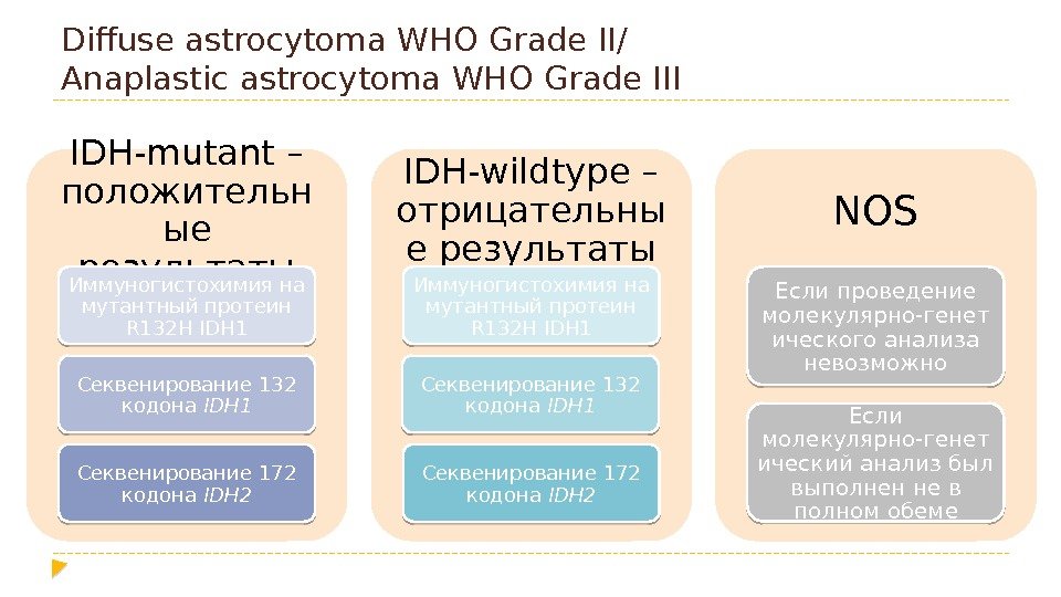 Diffuse astrocytoma WHO Grade II/ Anaplastic astrocytoma WHO Grade III IDH-mutant – положительн ые