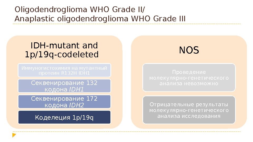 Oligodendroglioma WHO Grade II/ Anaplastic oligodendroglioma WHO Grade III IDH-mutant and 1 p/19 q-codeleted