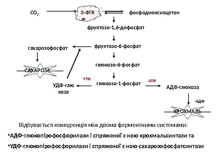 СО 2 3 -ФГК фосфодиоксиацетон фруктозо-1, 6 -дифосфат фруктозо-6 -фосфат глюкозо-1 -фосфат АТФУТФ АДФ-глюкоза