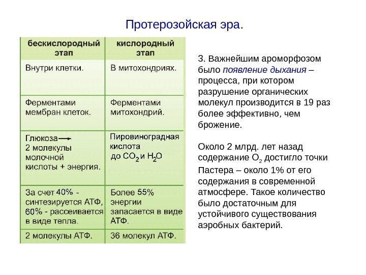 Протерозойская эра. 3. Важнейшим ароморфозом было появление дыхания – процесса, при котором разрушение органических